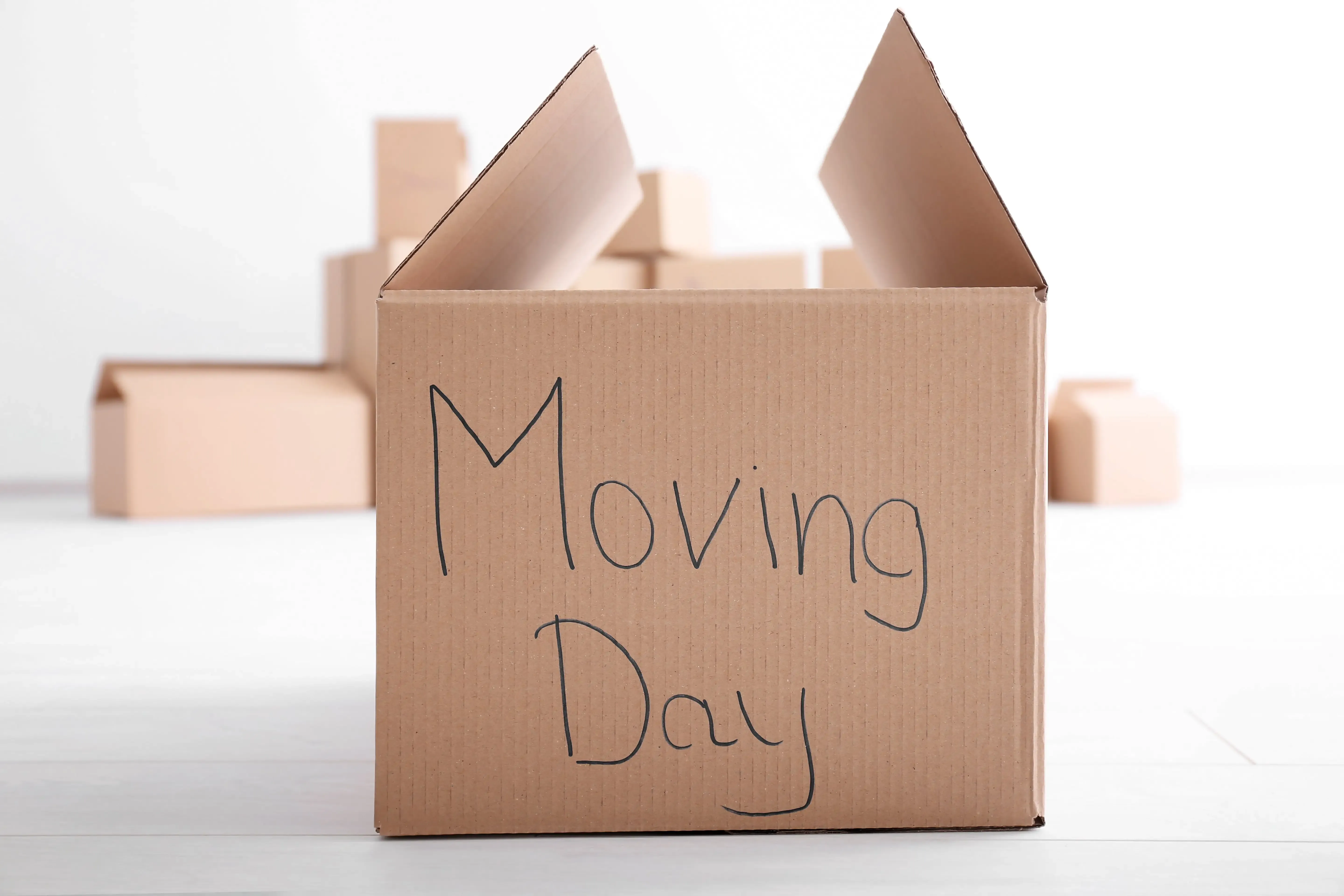 On Moving Day—What to Expect