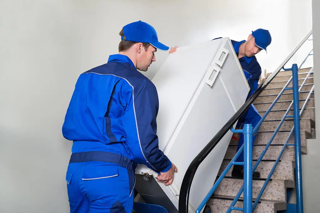 Expert Newtown Removalist Services: Tailored for Your Needs
