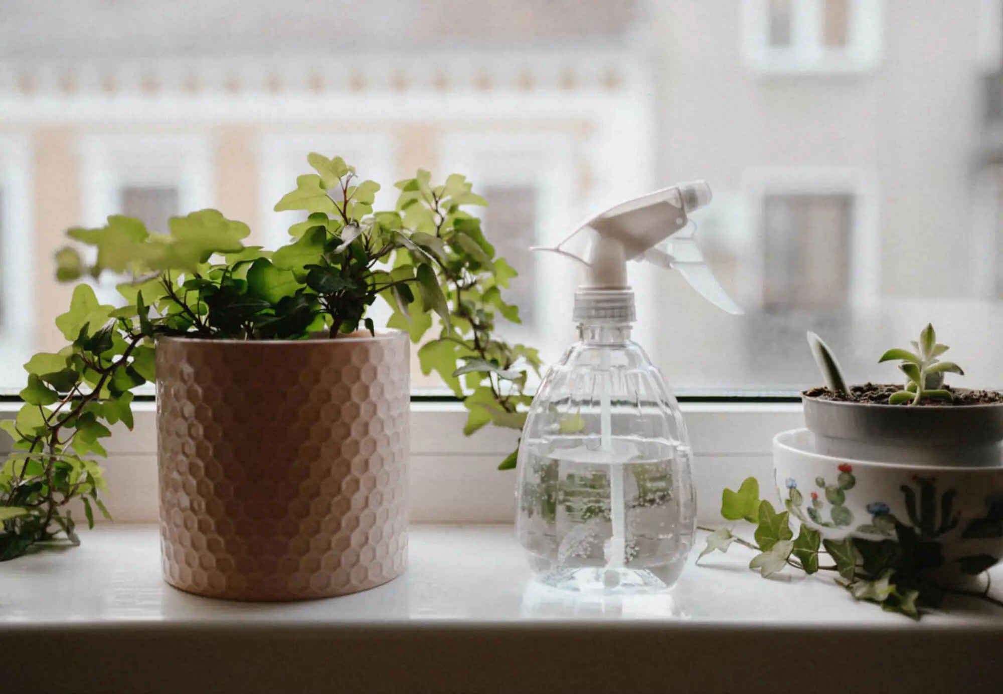 Plants Movers