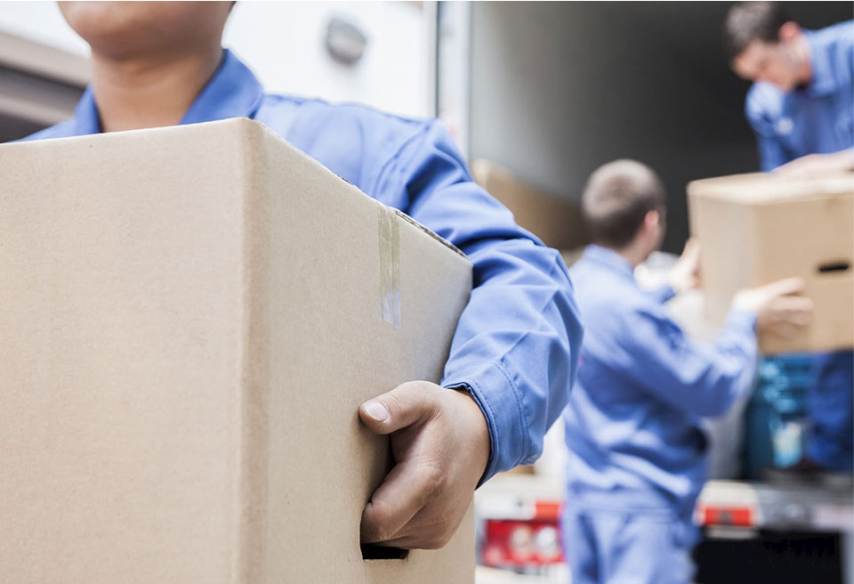 Professional Removalists in Greystanes