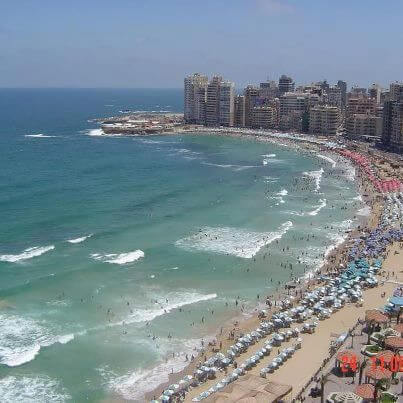 About Alexandria