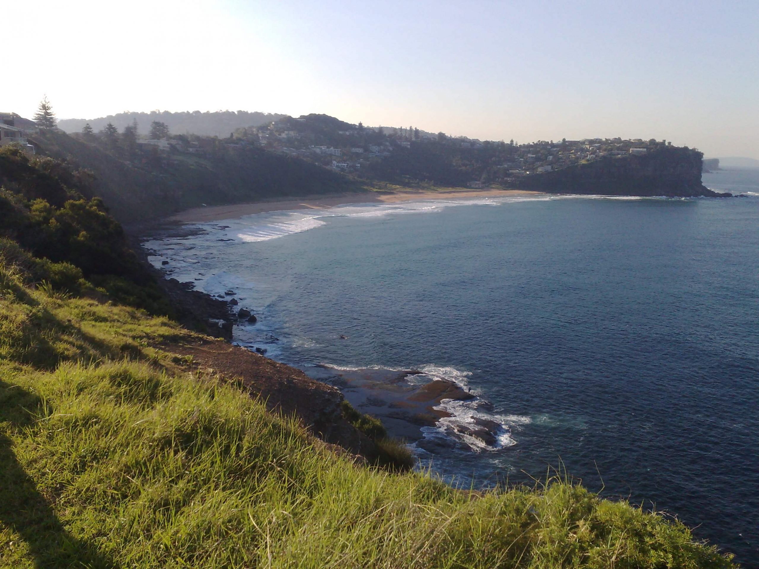 About Mona Vale