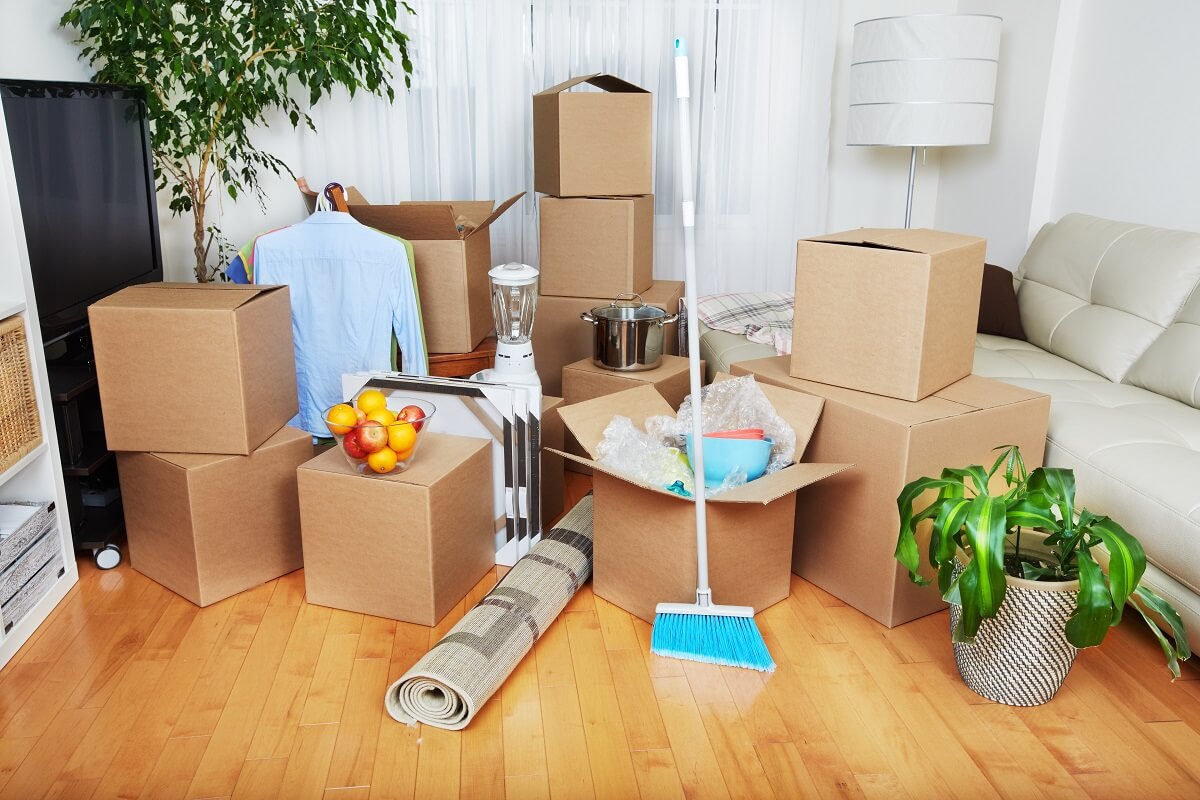 Insured and Accredited Sydney Removalists